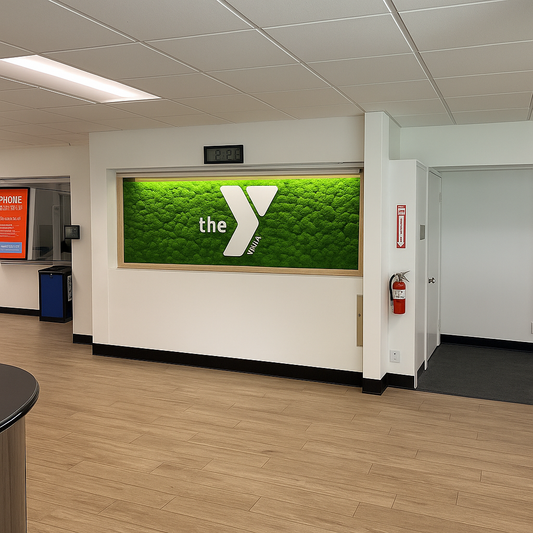 10 Creative Places to Feature Moss Art in Commercial Spaces