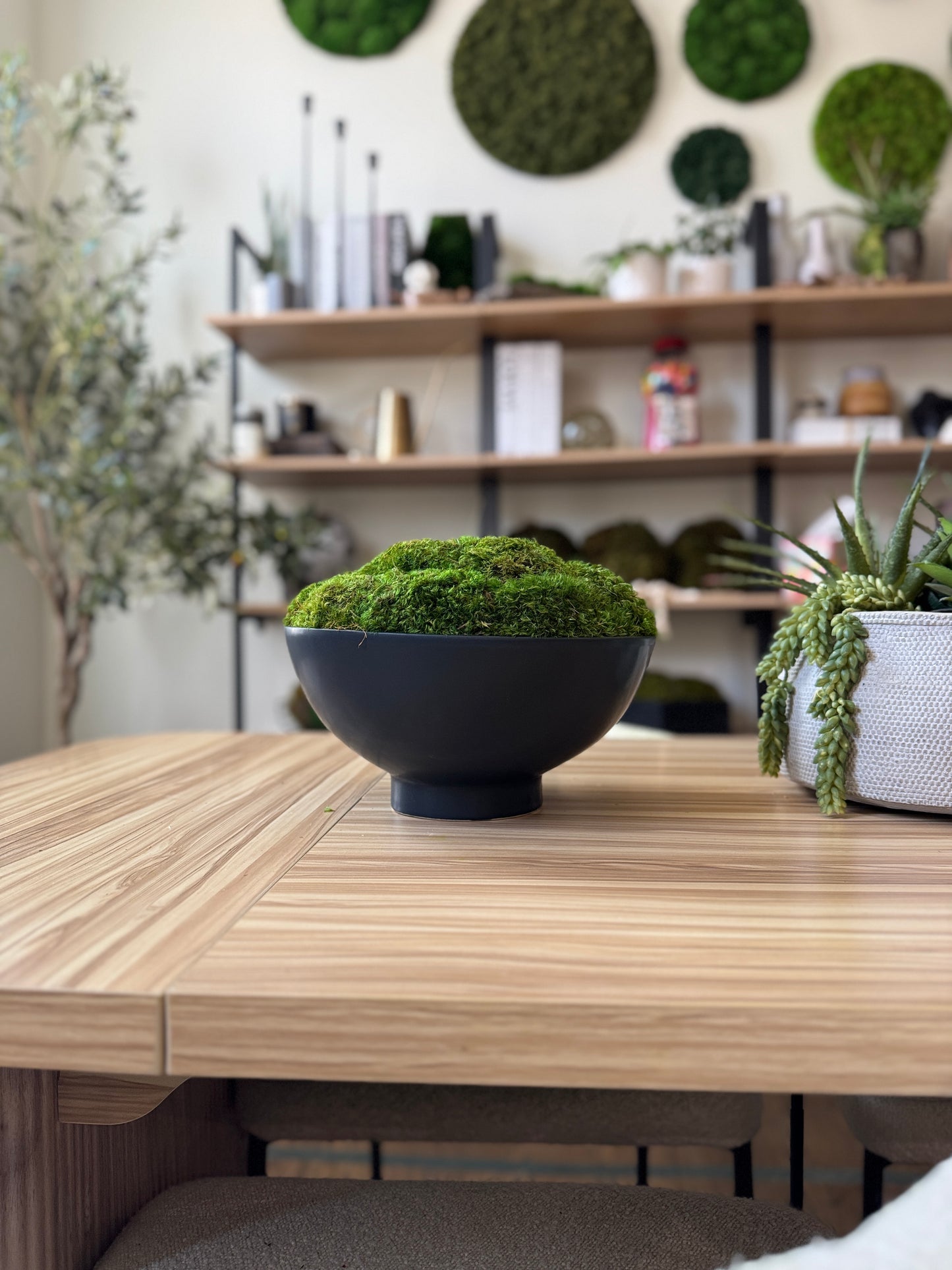 Black Footed Moss Bowl
