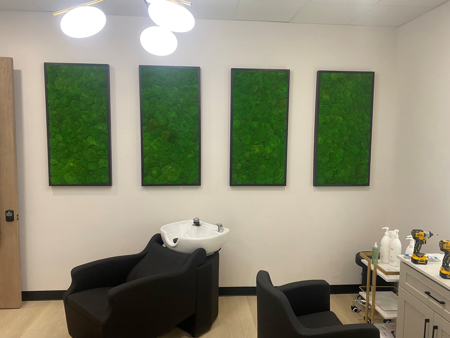 The Minimalist Rectagon Moss Art Frame