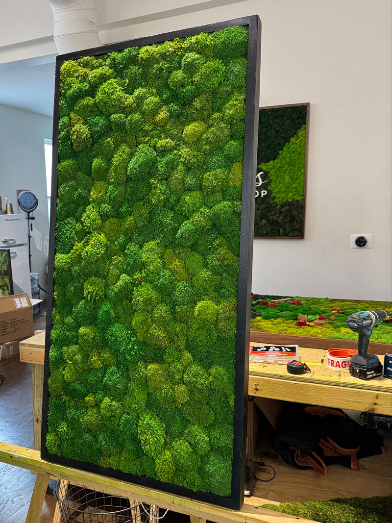 Moss wall art displayed indoors with a staircase and room in the background