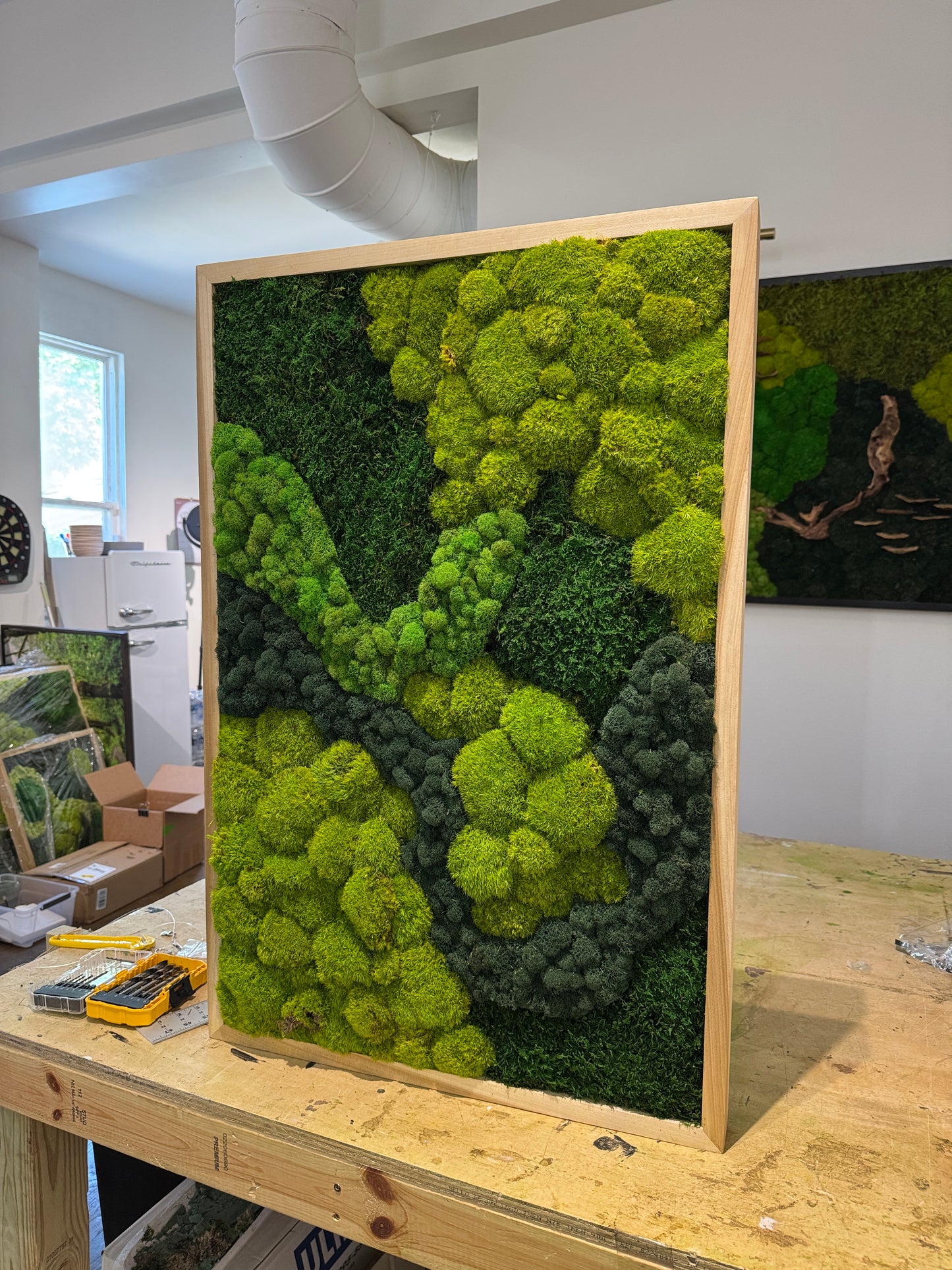 36x24 The Riverbend Moss Art Frame: Ready to Ship