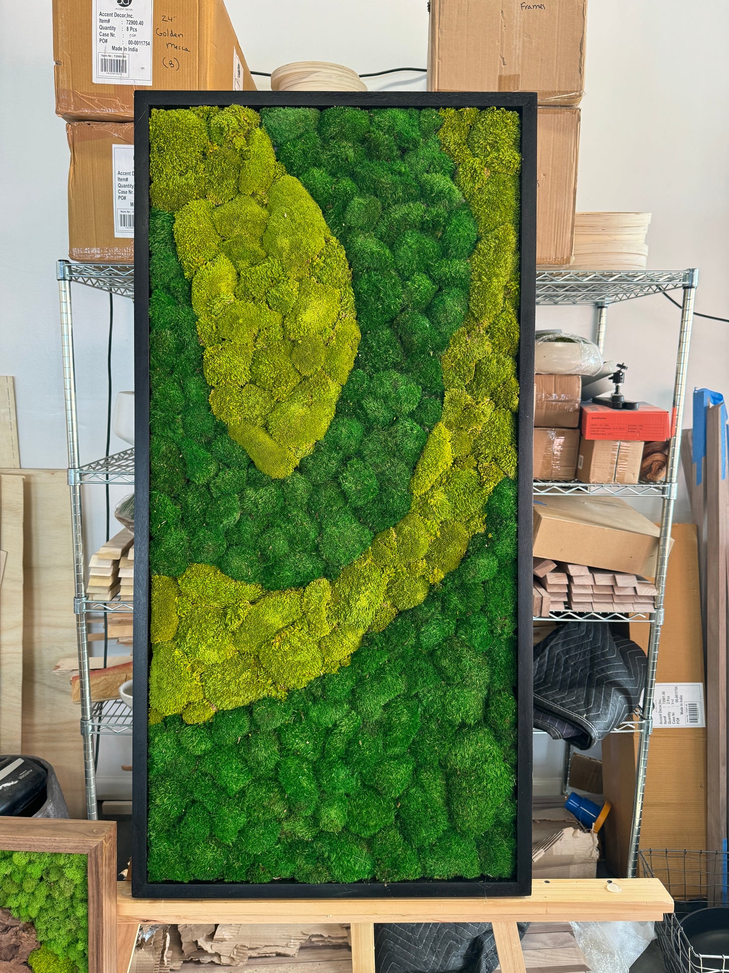 Nature's Path Moss Art Frame