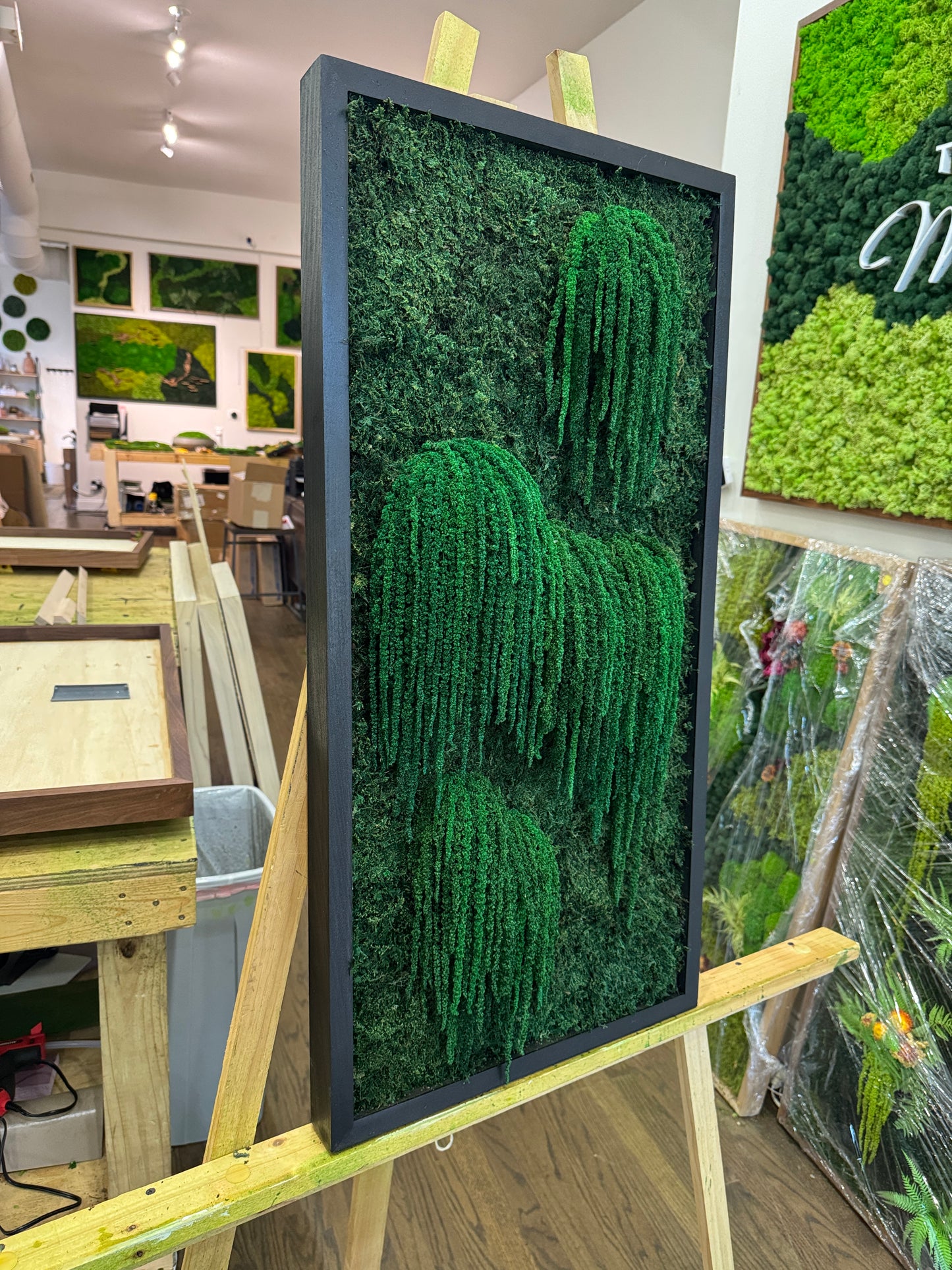 Willow Strands Moss Art Frame