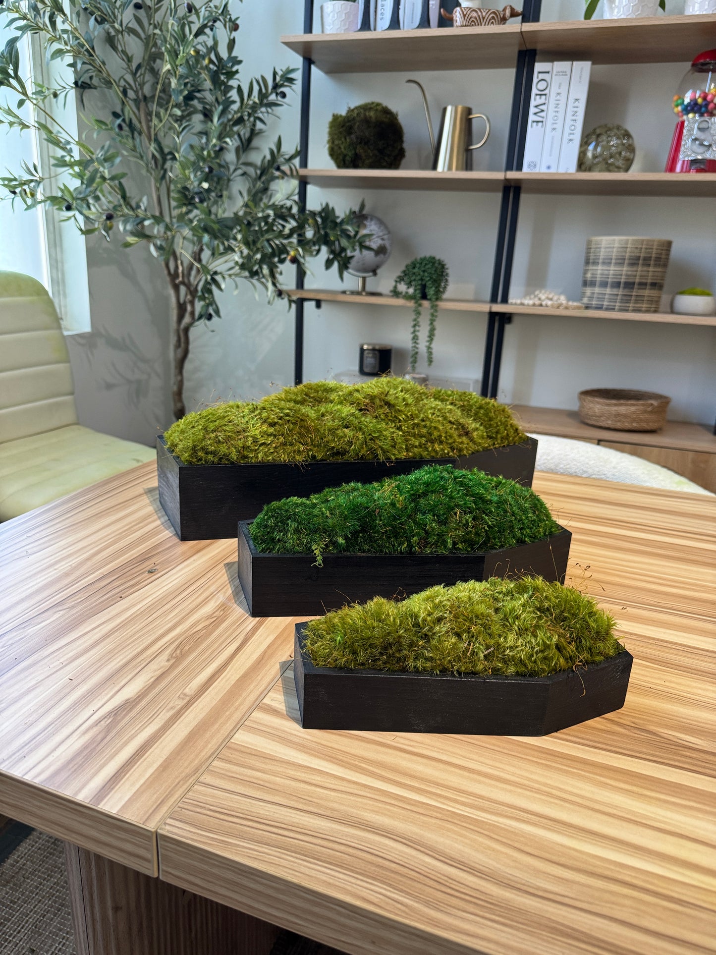 Coffin Moss Bowls – Modern Halloween Moss Décor