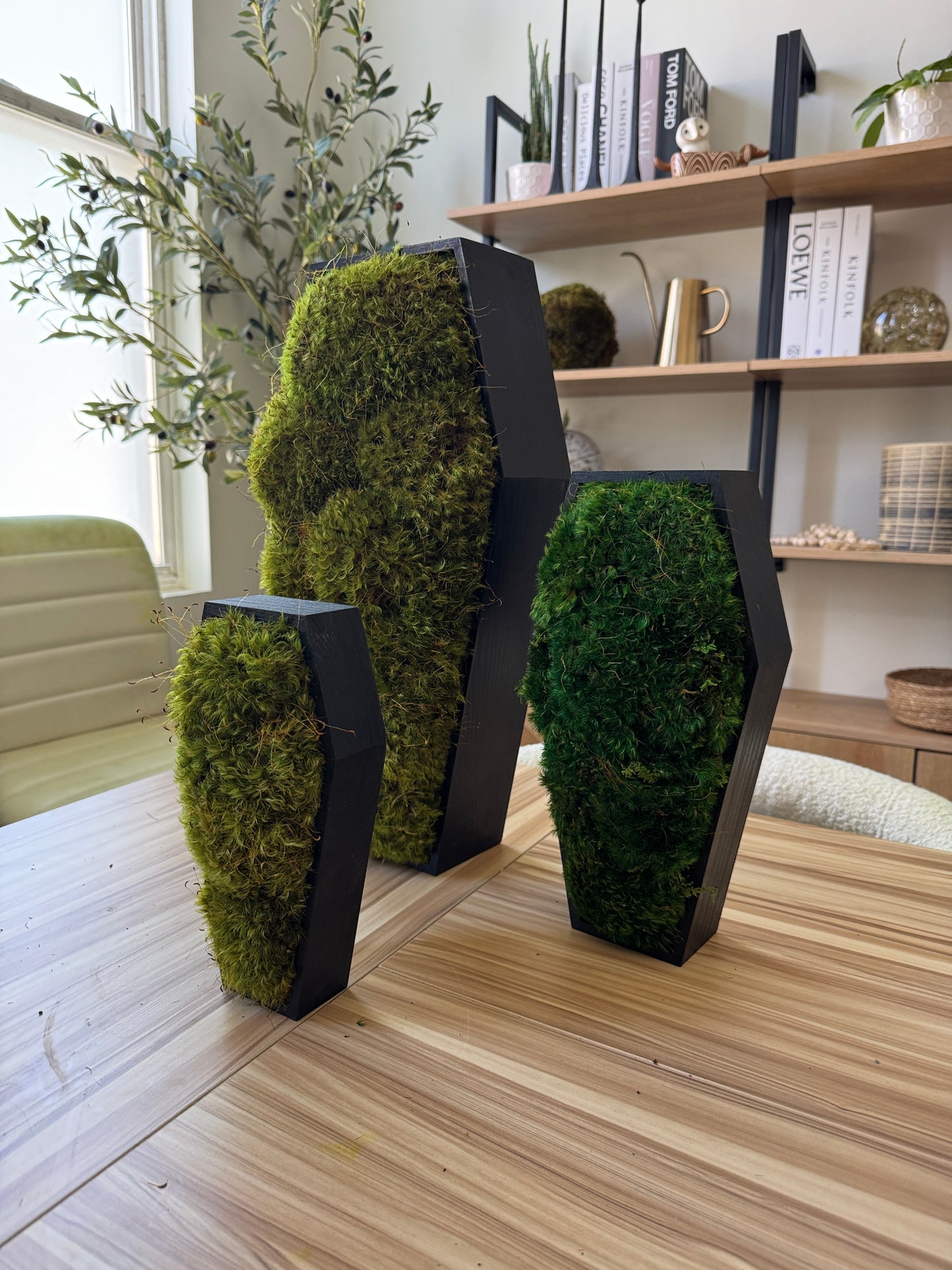 Coffin Moss Bowls – Modern Halloween Moss Décor