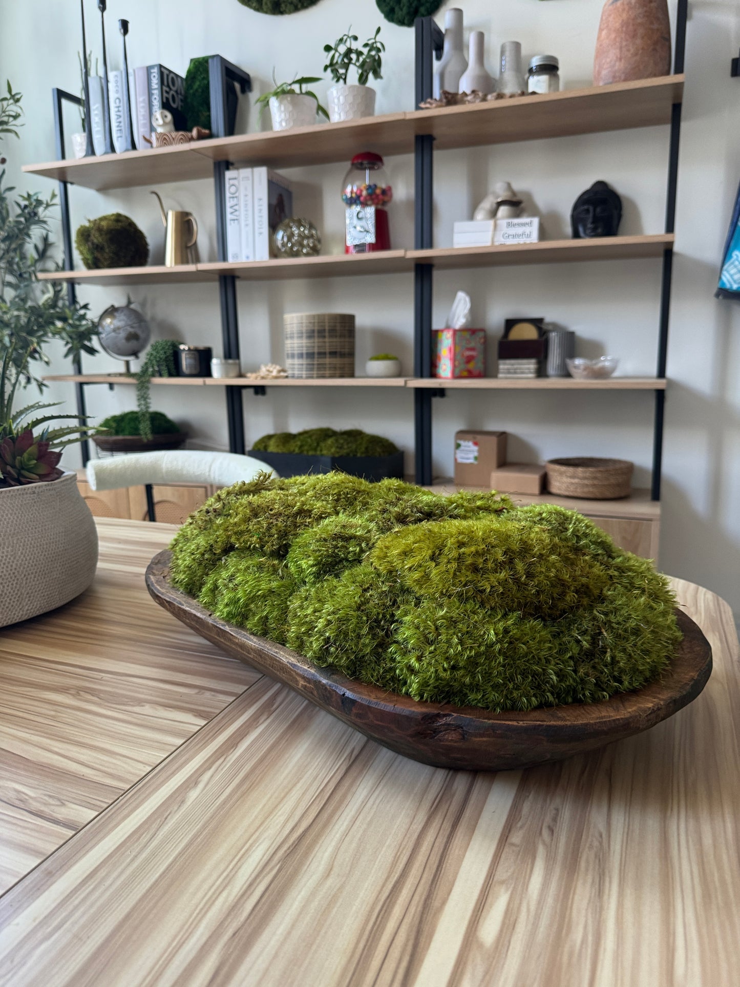 Grand Dough Moss Bowl