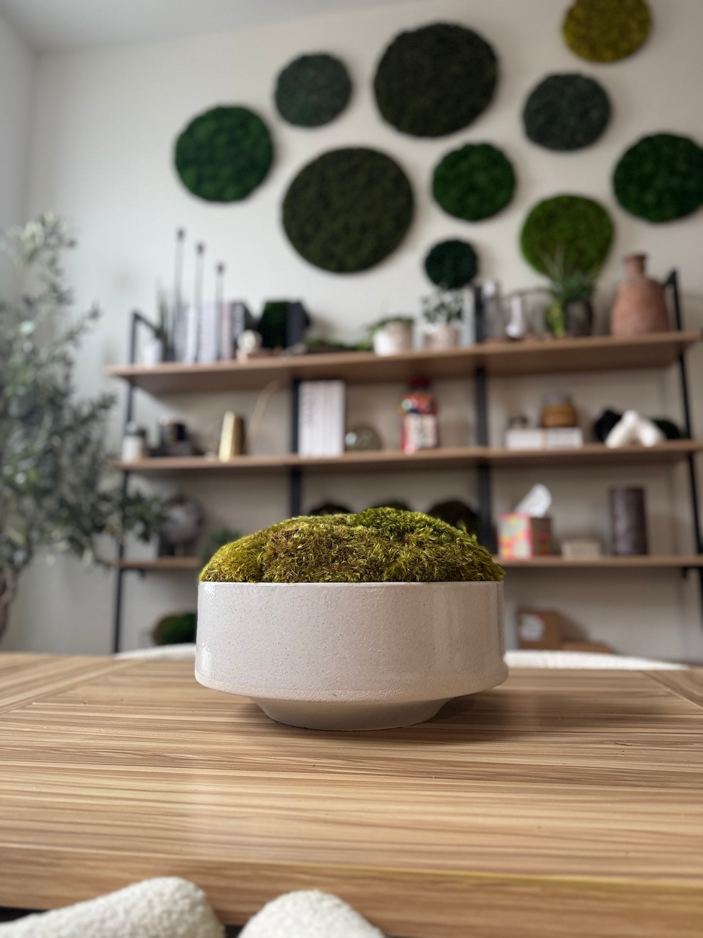 Cantur Footed Moss Bowl