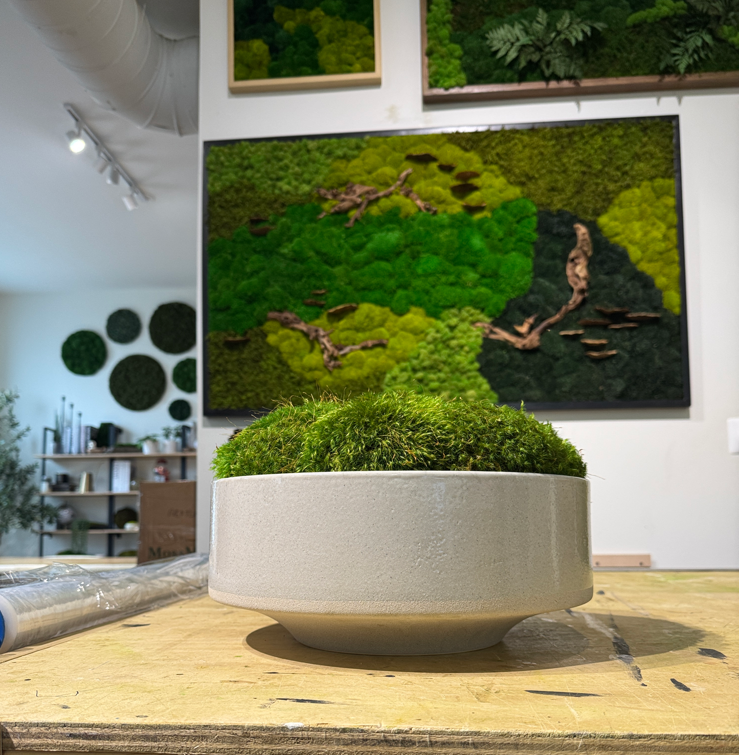 Cantur Footed Moss Bowl