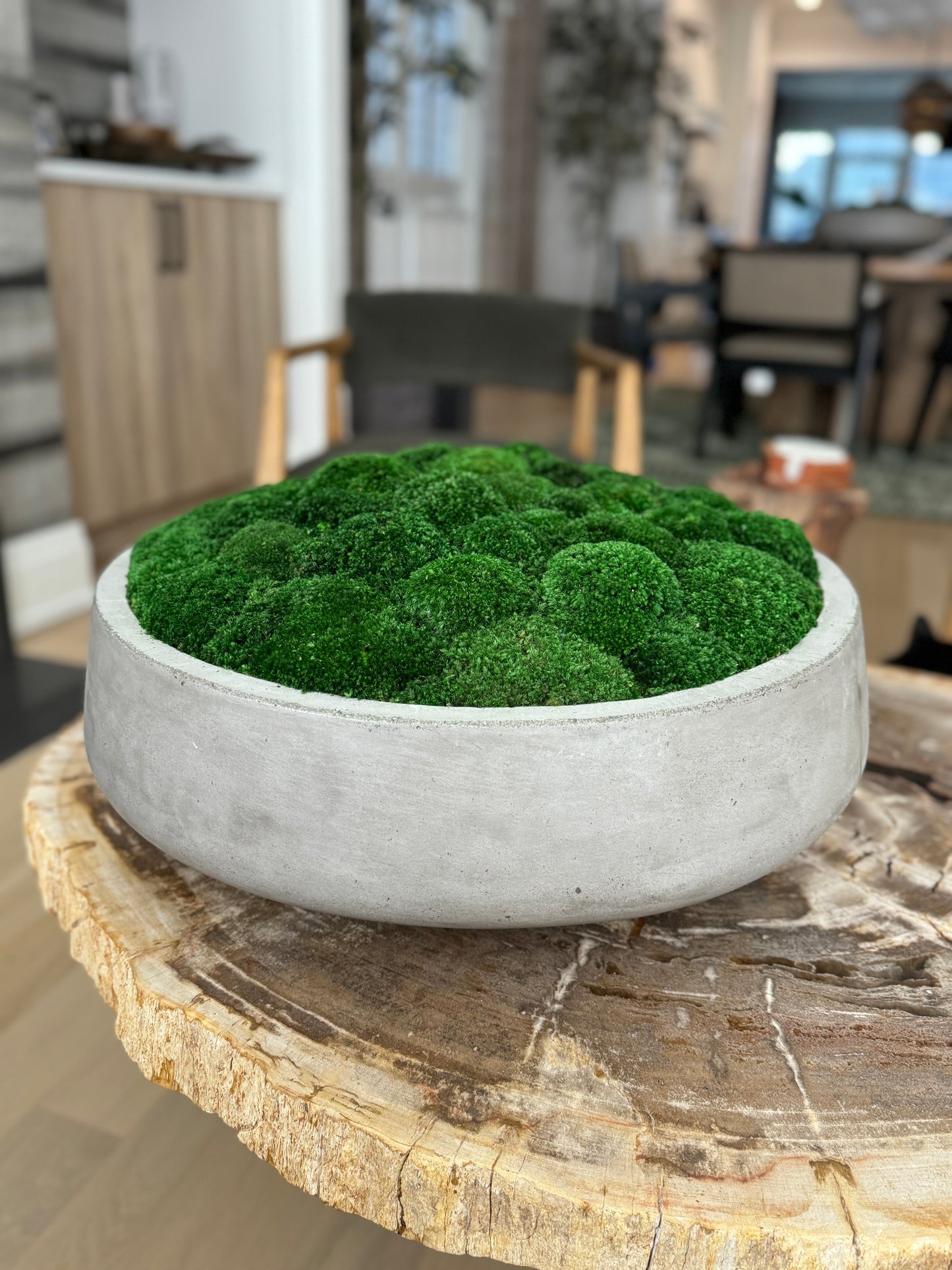 The Grand Concrete Moss Bowl