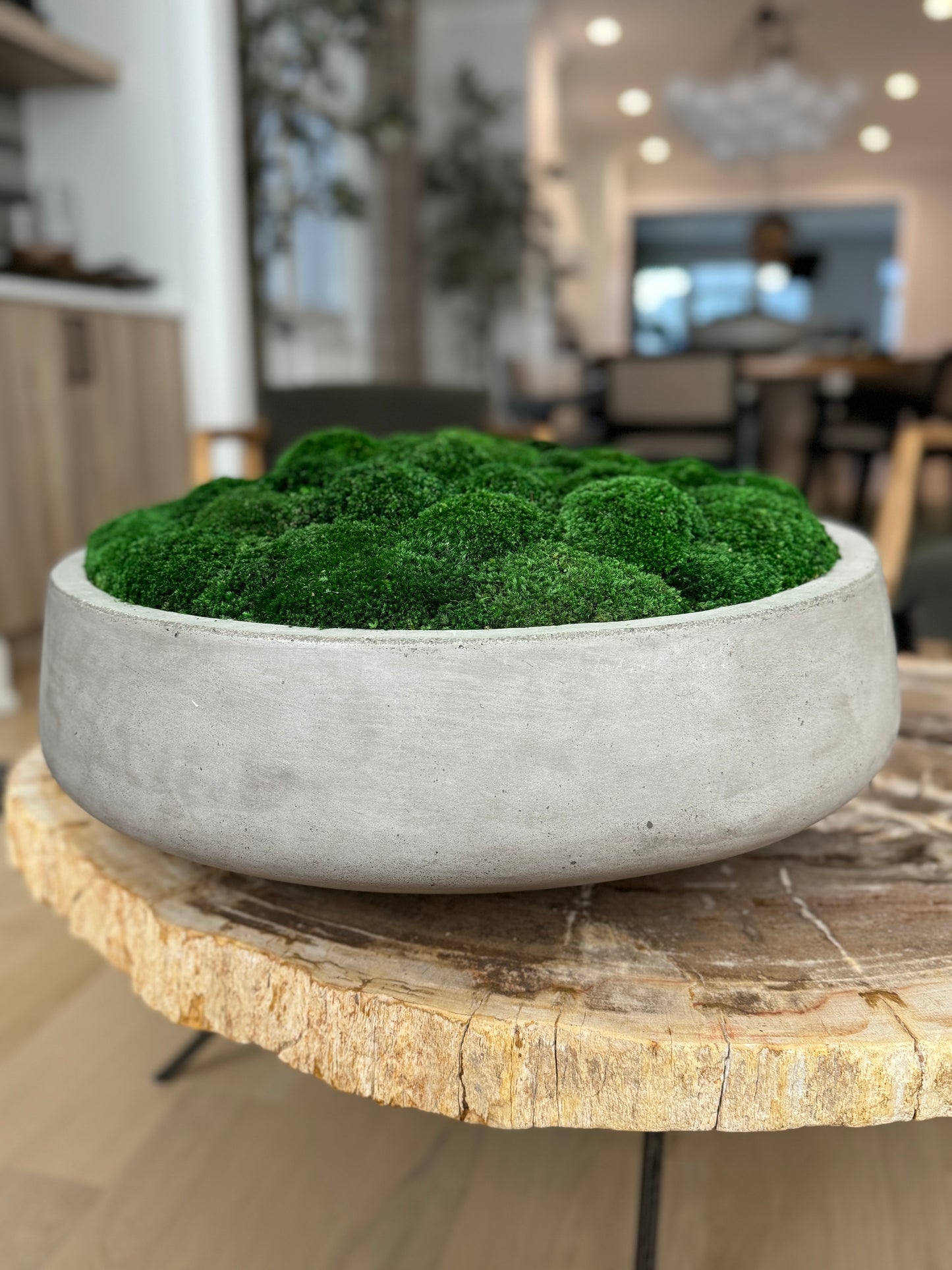 The Grand Concrete Moss Bowl