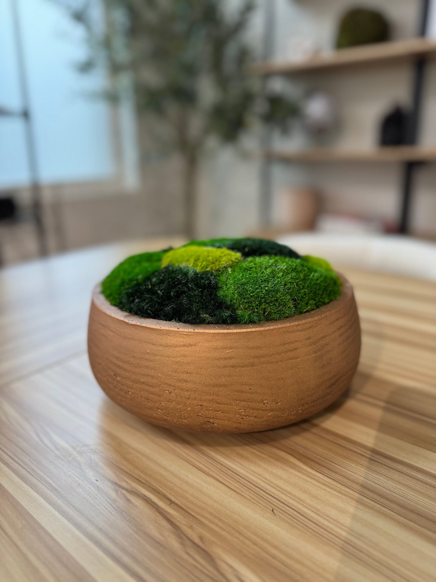 9.5" Round Rose Gold Moss Bowl (Multicolor)