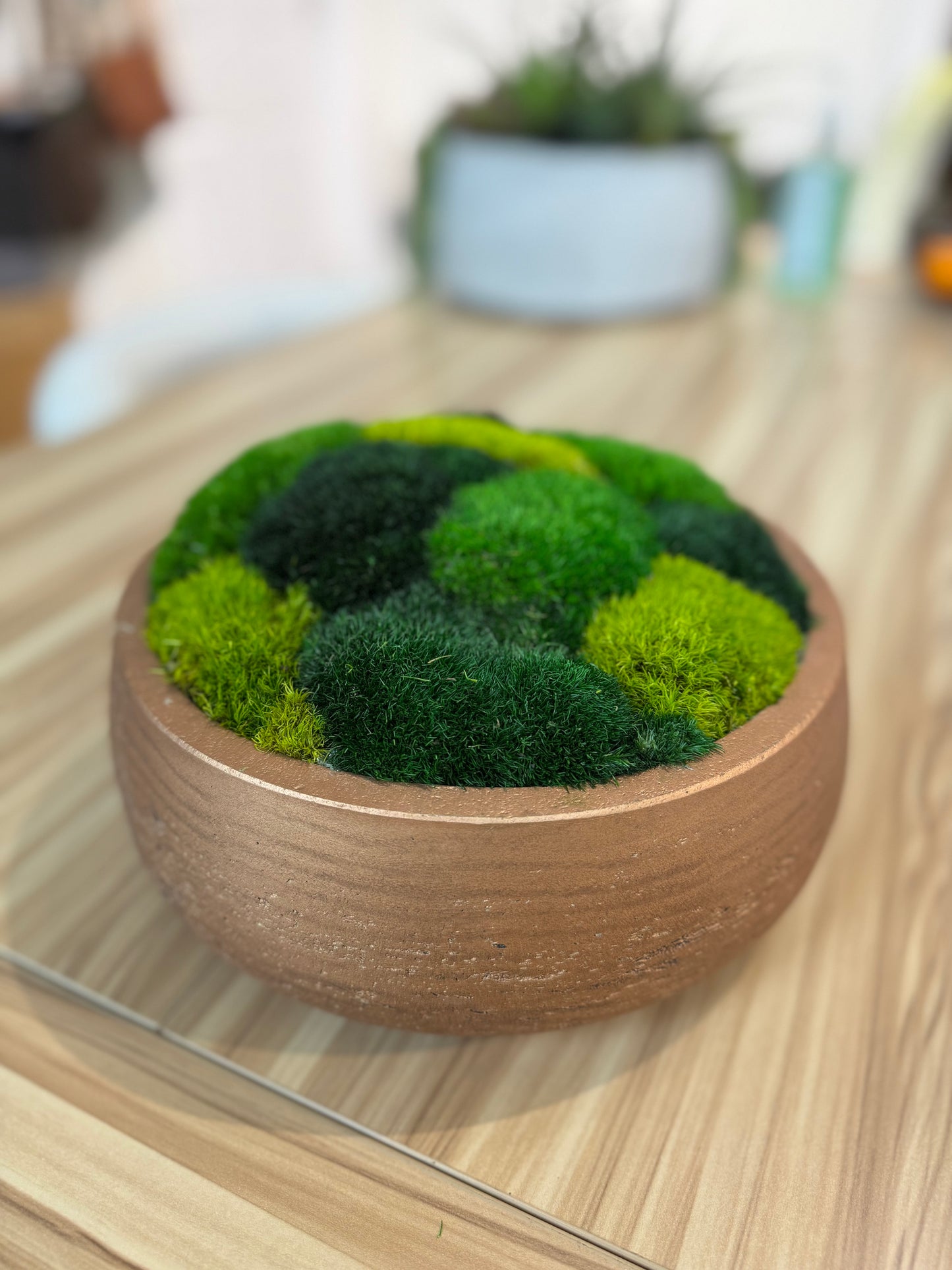 9.5" Round Rose Gold Moss Bowl (Multicolor)