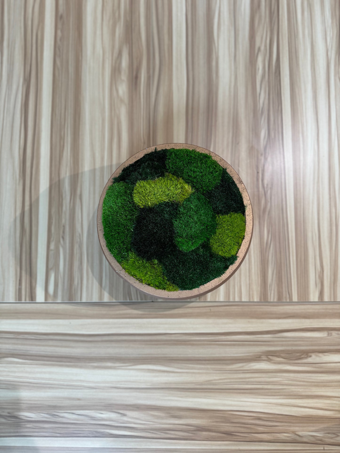 9.5" Round Rose Gold Moss Bowl (Multicolor)