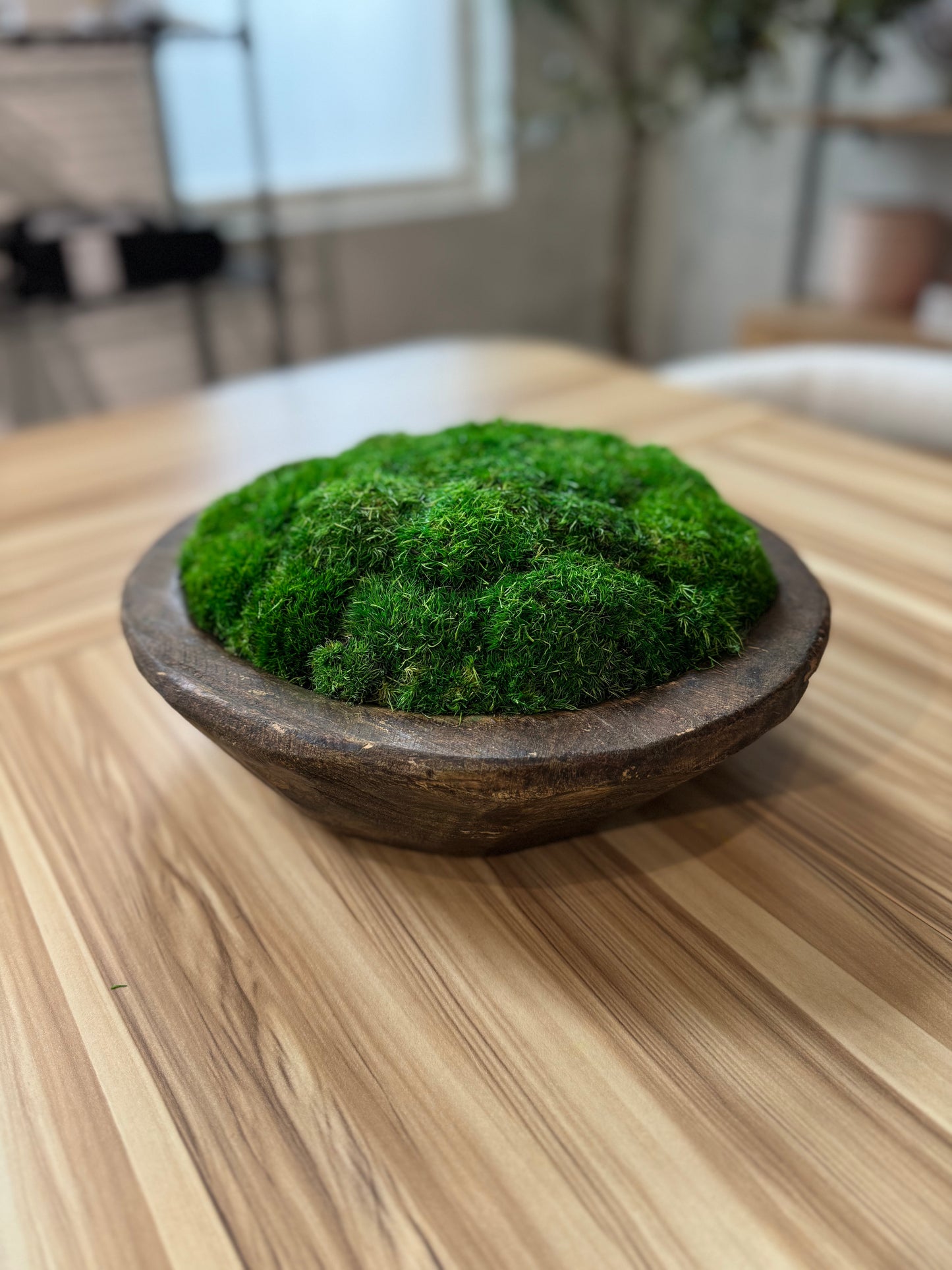10" Round Farm Table Moss Dough Bowl