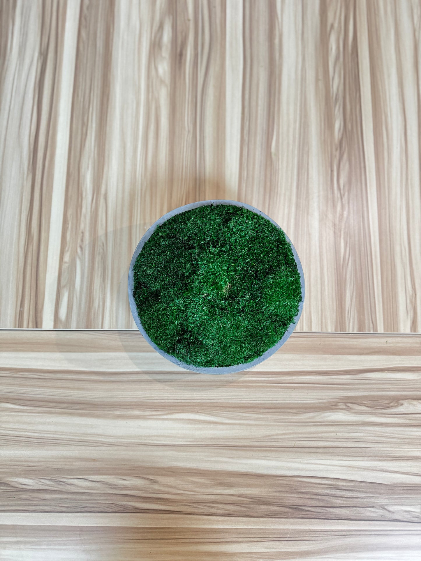 7.5" Astro Concrete Moss Bowl