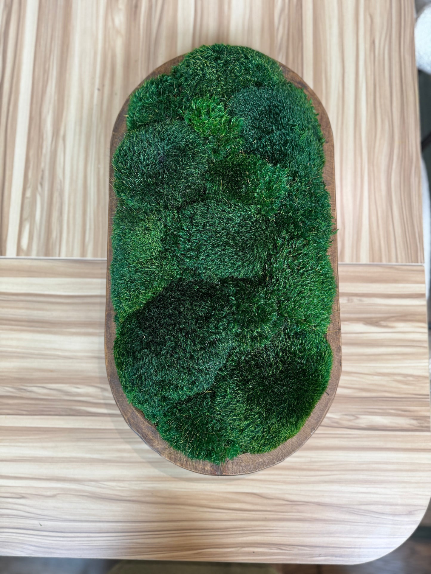 12x20" Grand Fluffy Moss Bowl