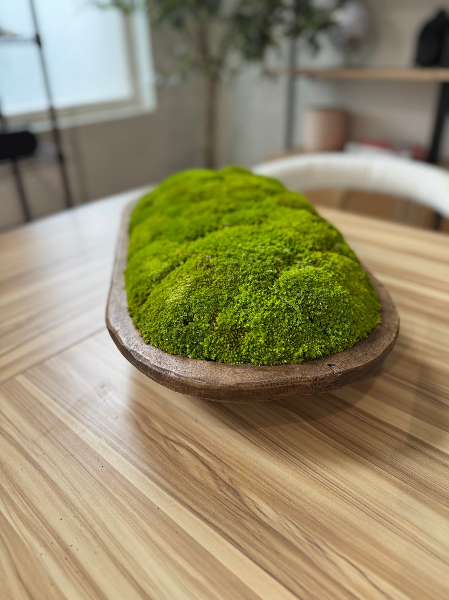 12x20" Oval Moss Bowl (Light Yellow)