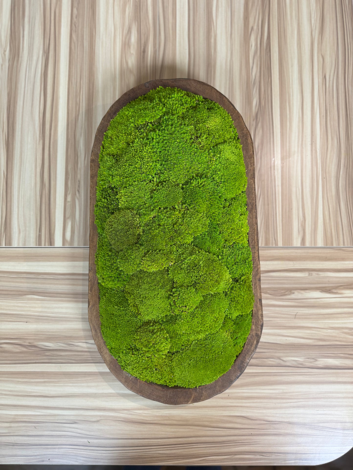 12x20" Oval Moss Bowl (Light Yellow)