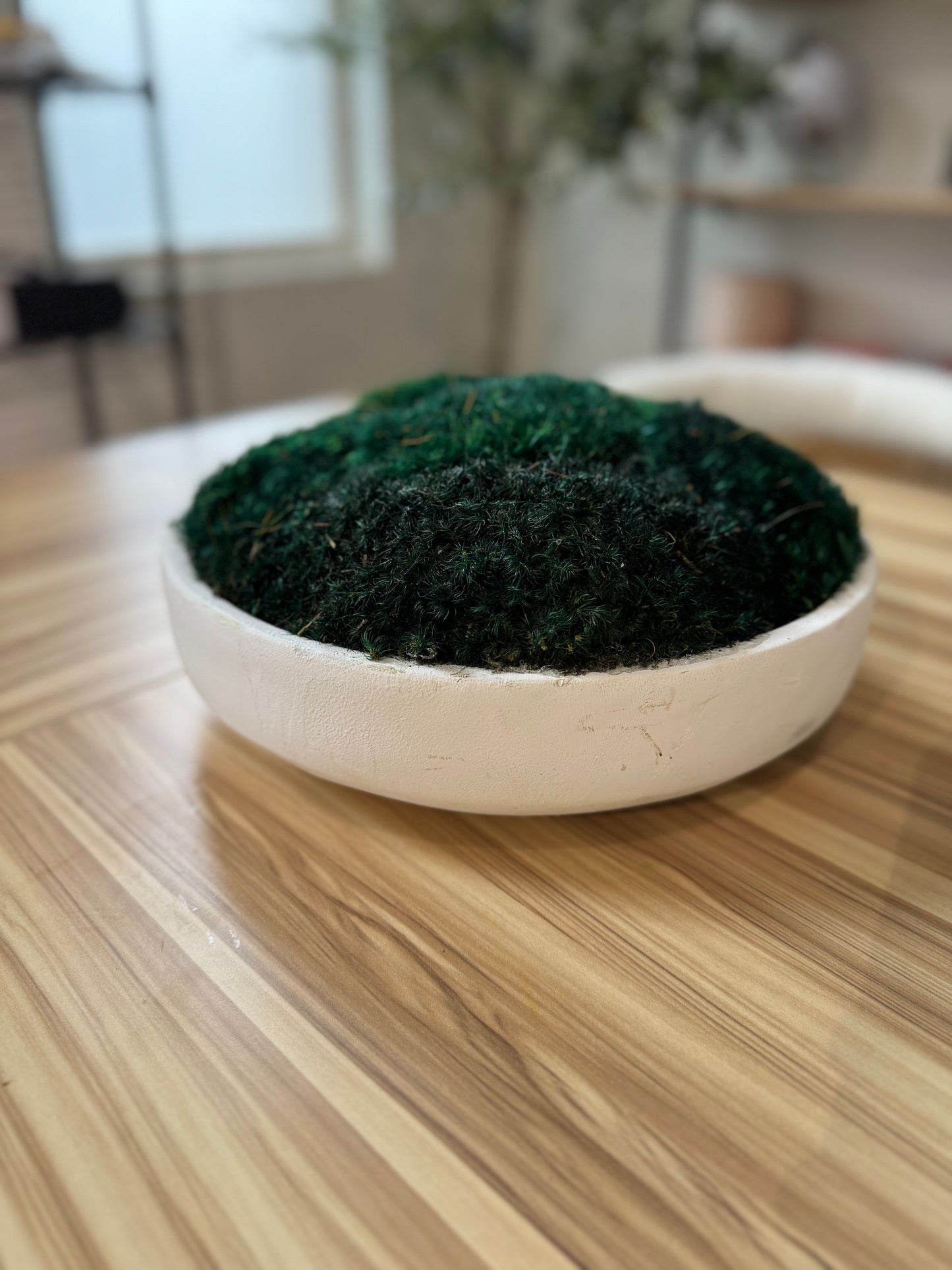 15.5" Dark Green Moss Bowl in White