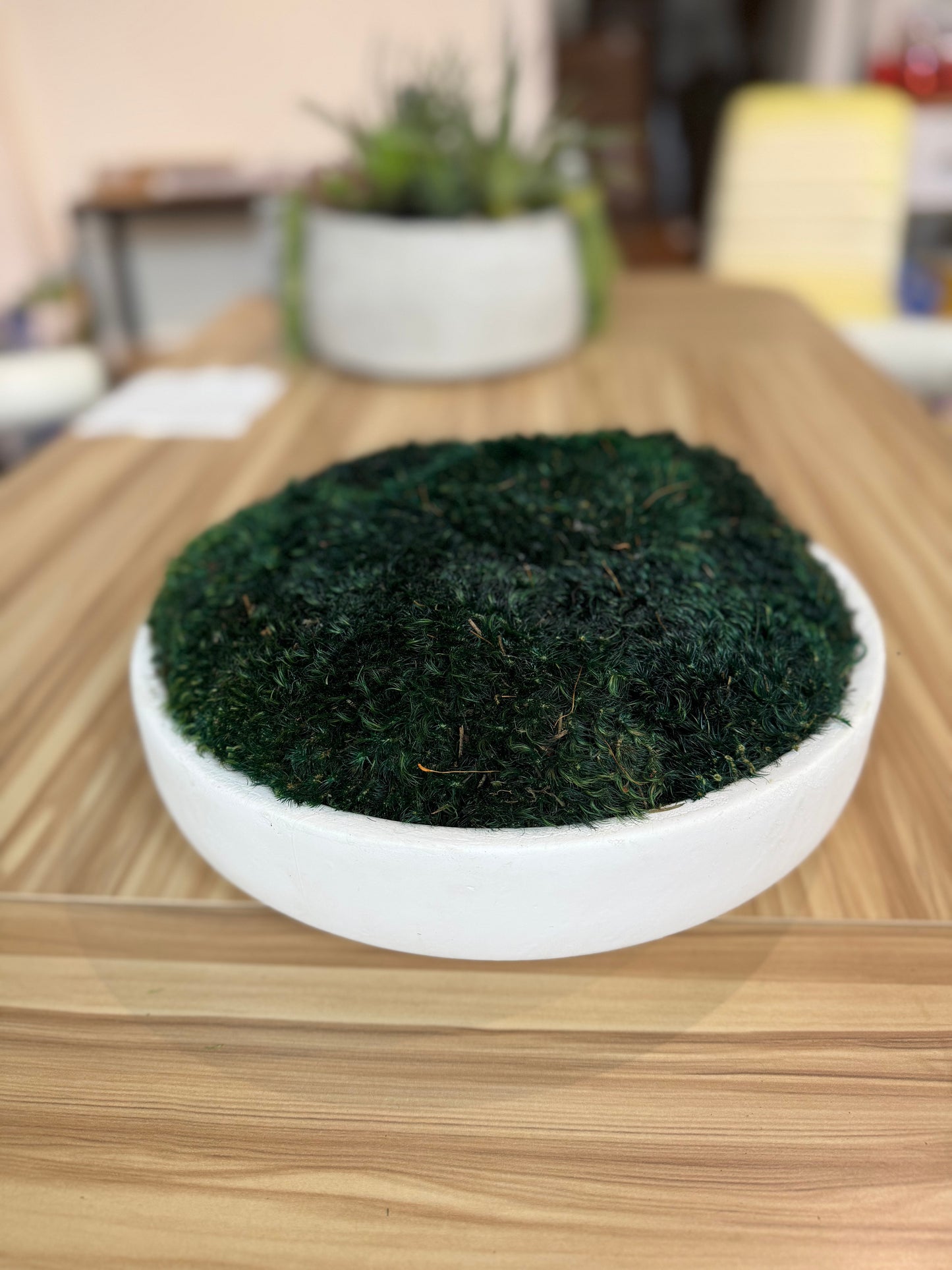 15.5" Dark Green Moss Bowl in White