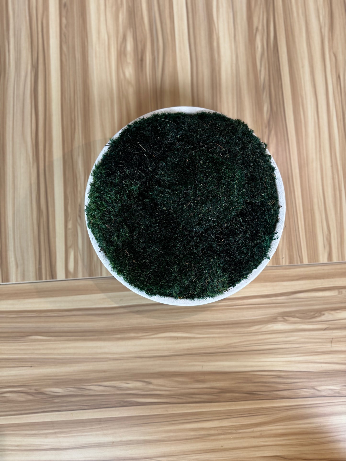 15.5" Dark Green Moss Bowl in White