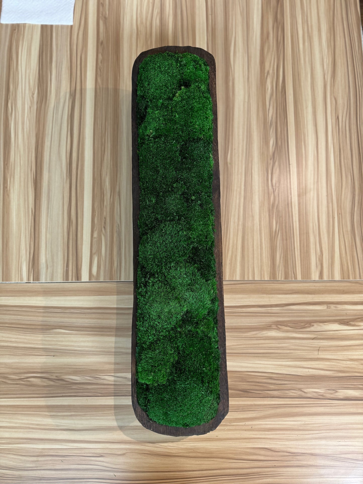 26" Dark Trough Moss Bowl