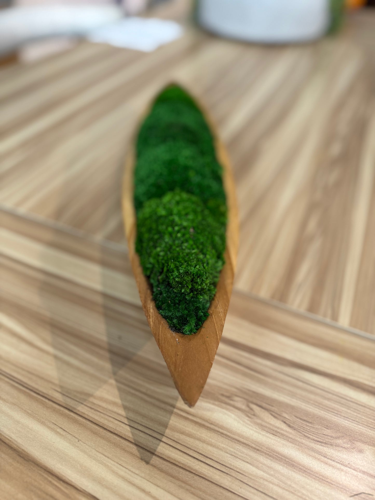 17" Green Peas in a Pod Moss Bowl