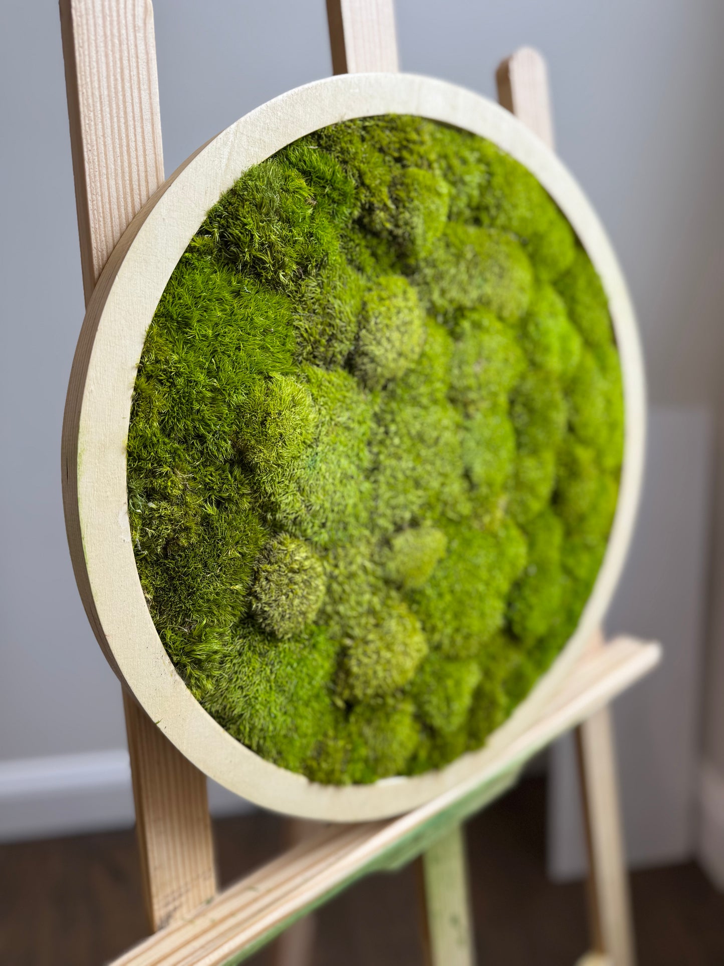 Lightened Moods Circle Moss Art Frame
