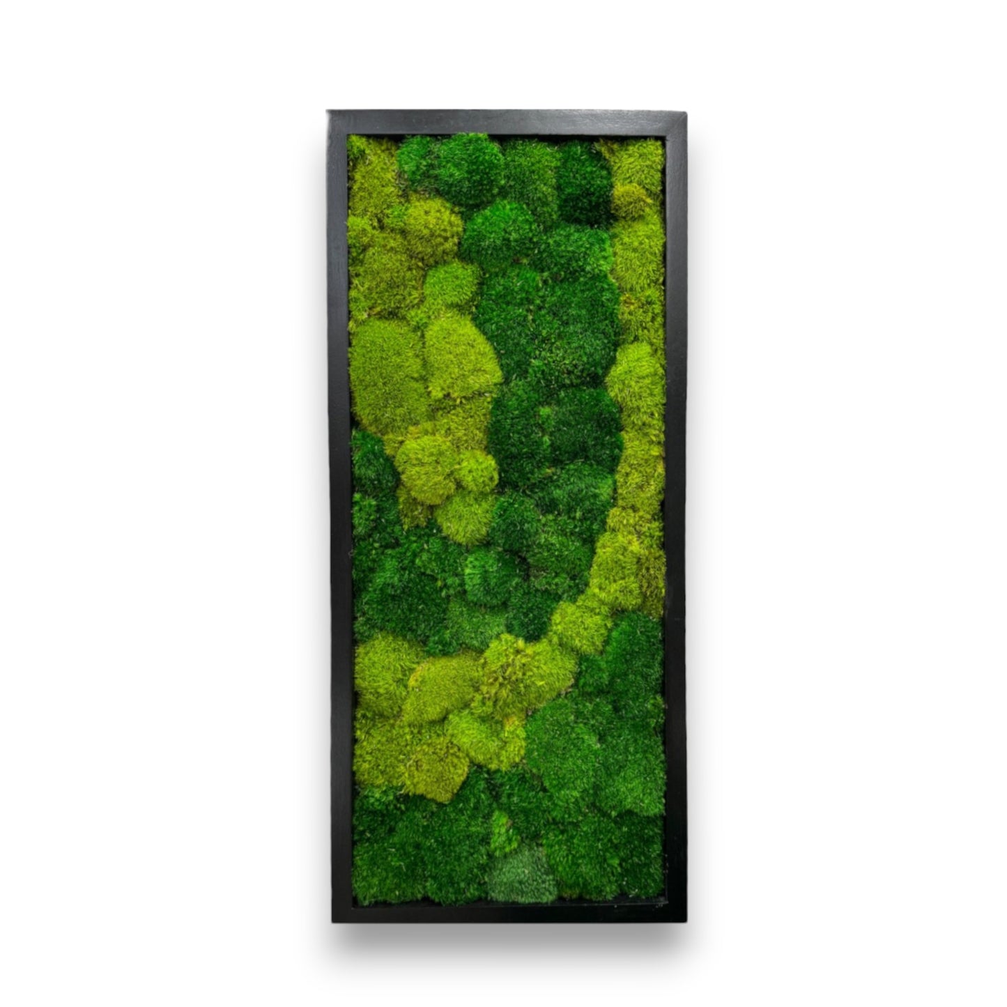 Nature's Path Moss Art Frame