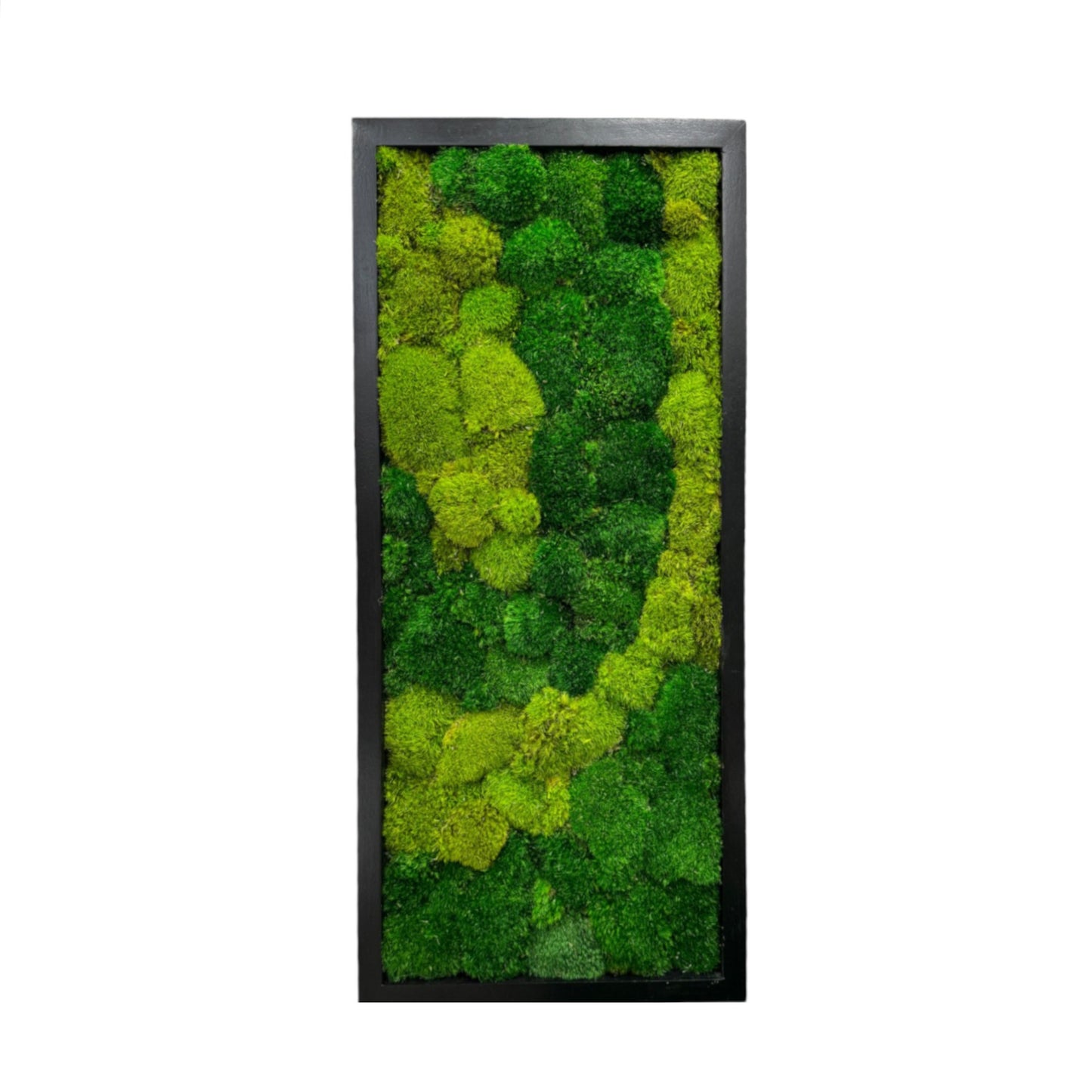 Nature's Path Moss Art Frame