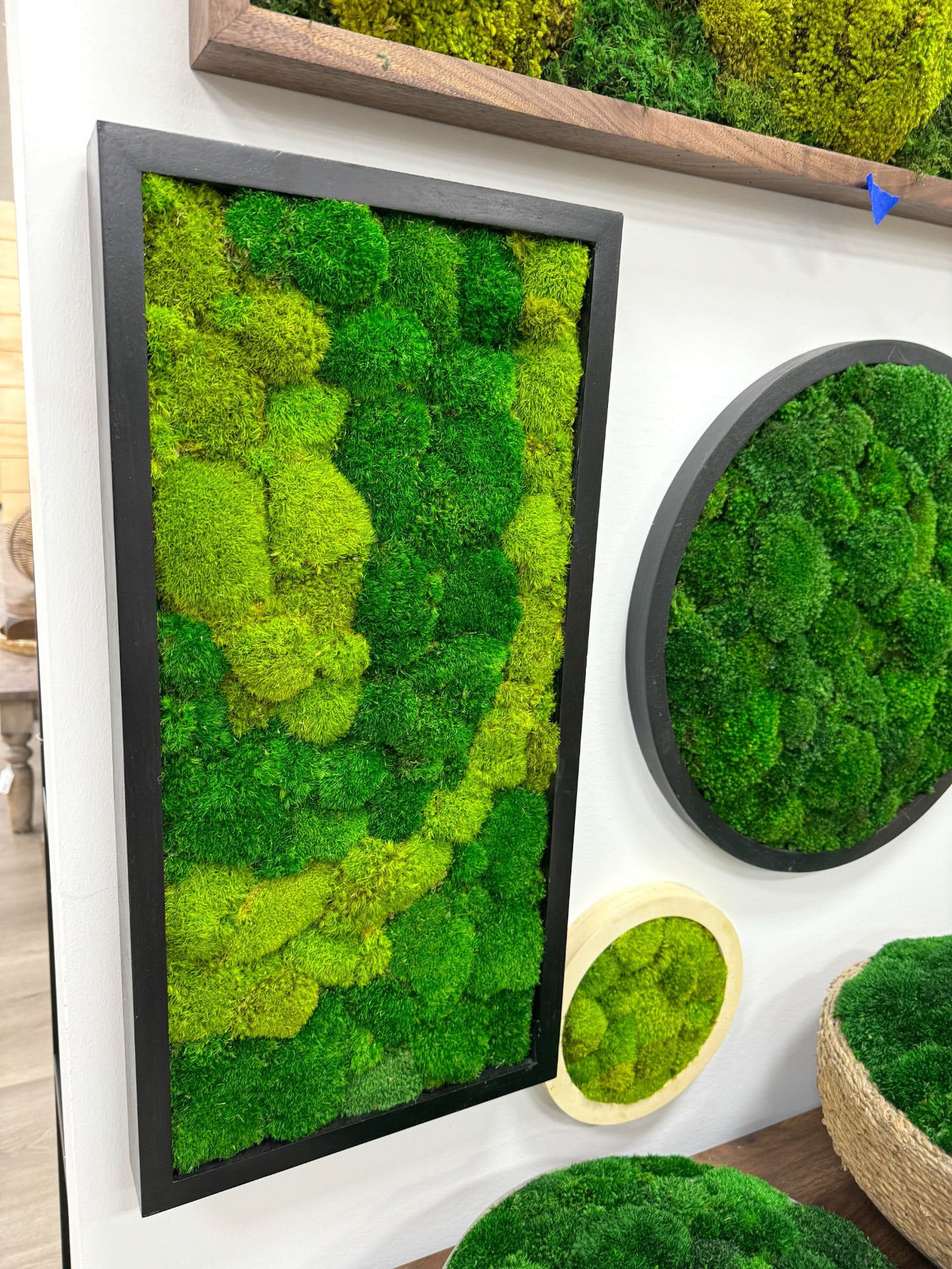 Nature's Path Moss Art Frame