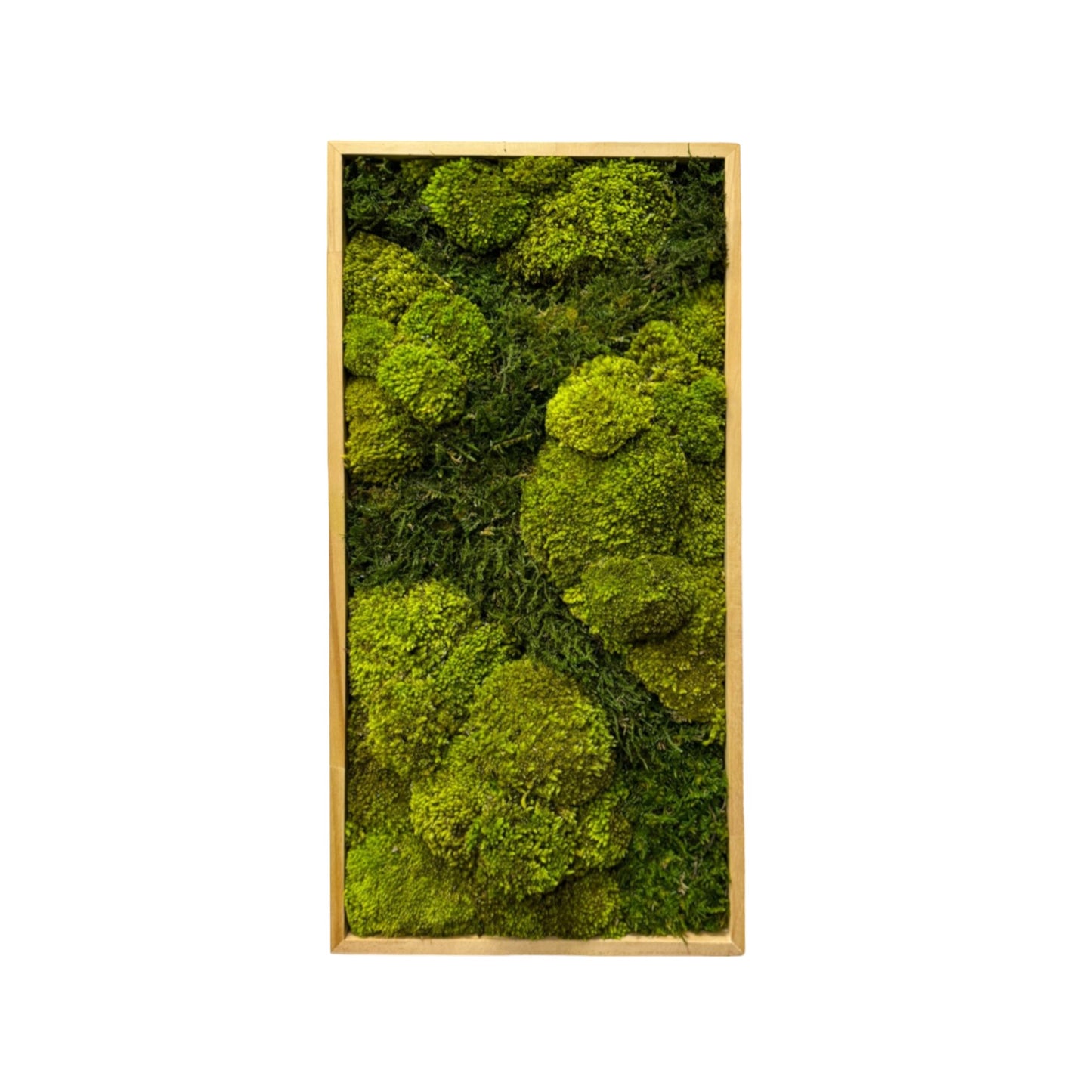 Aerial Forest Moss Art Frame (Light Green, One Piece)
