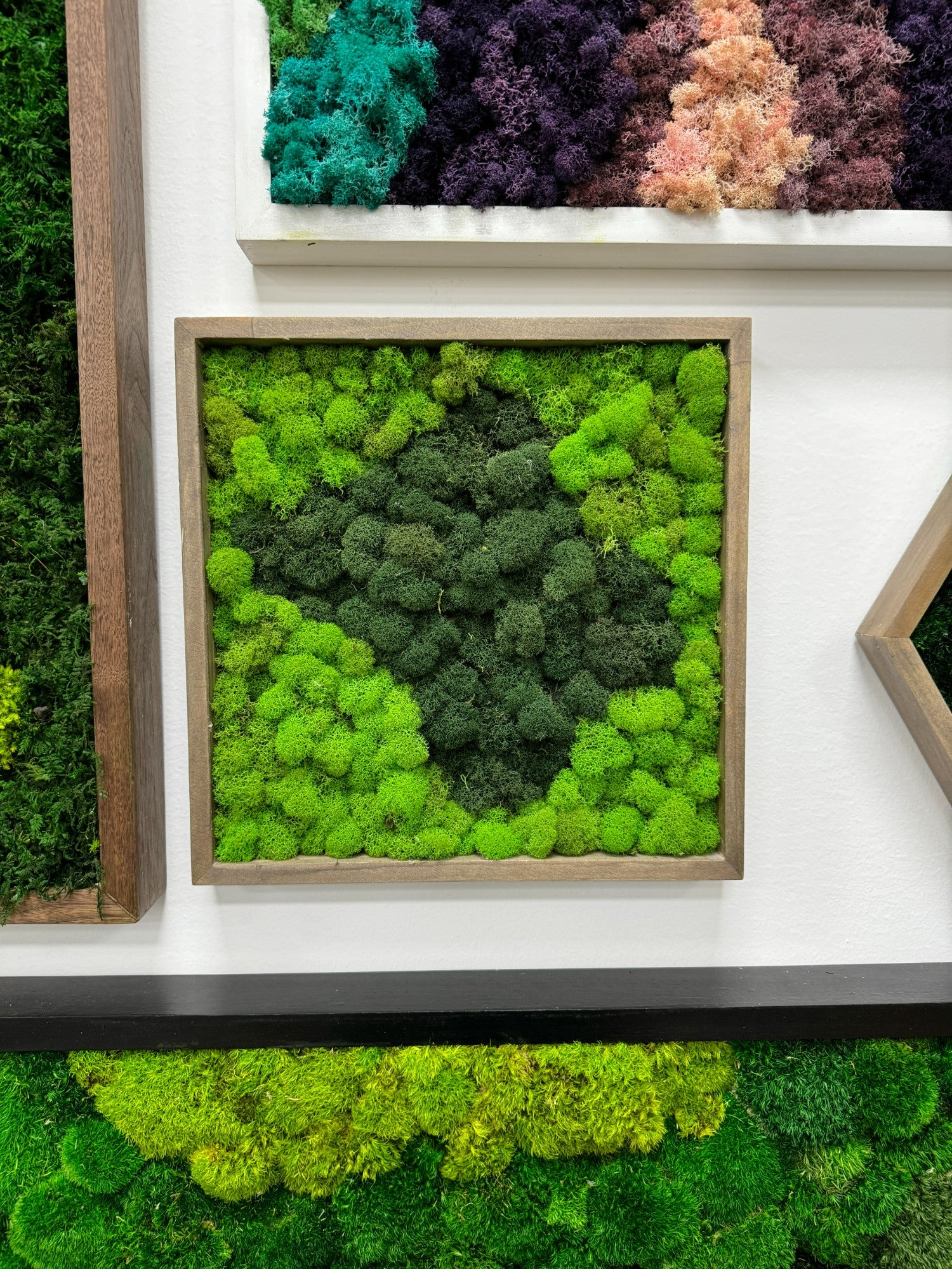 Framed Vertical Moss Wall Garden with Reindeer Moss in Shades of Green and Natural buy - 2 sizes and 5 frame color options