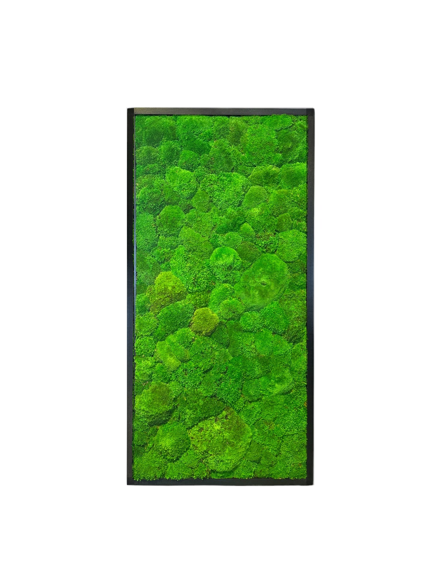 The Minimalist Rectagon Moss Art Frame