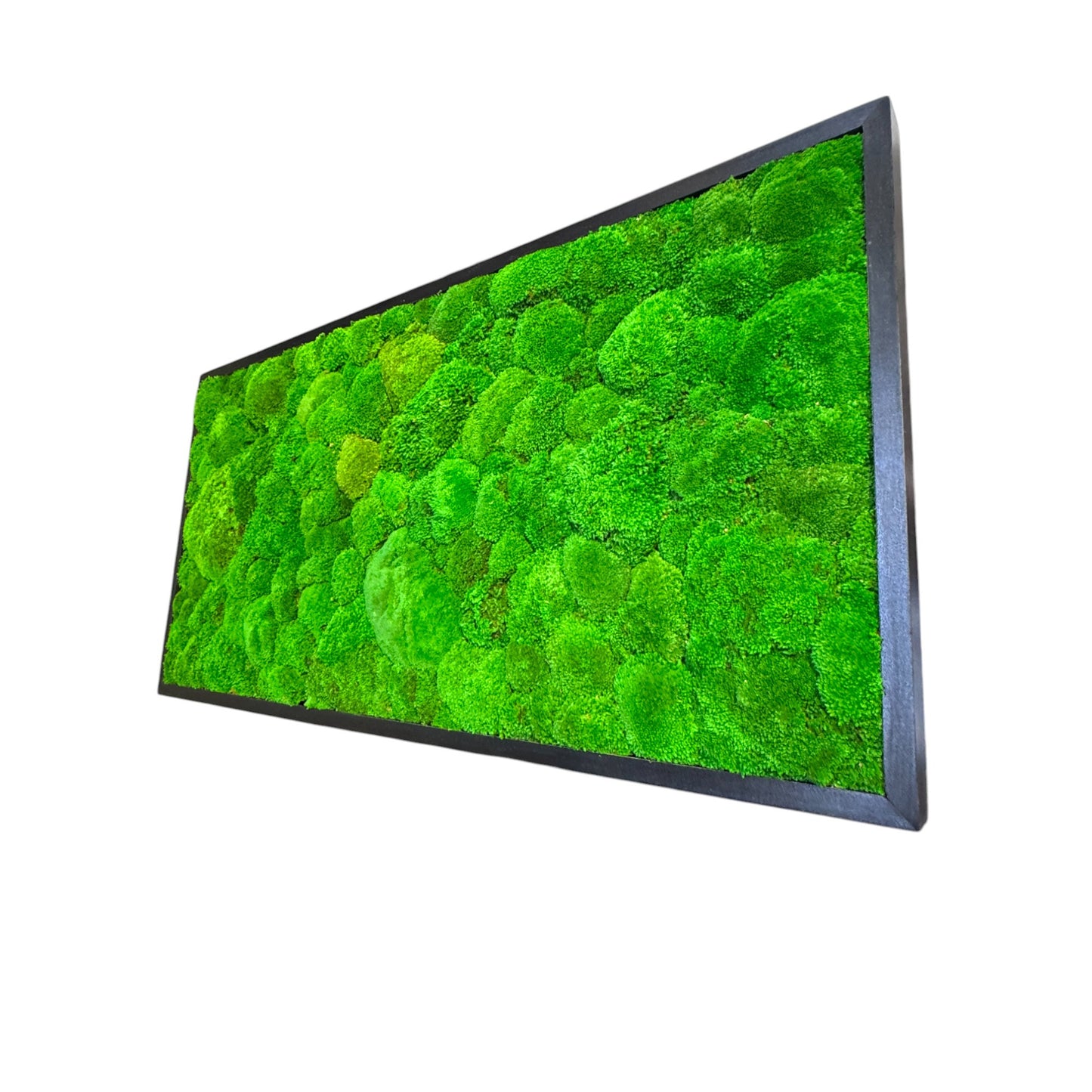 The Minimalist Rectagon Moss Art Frame