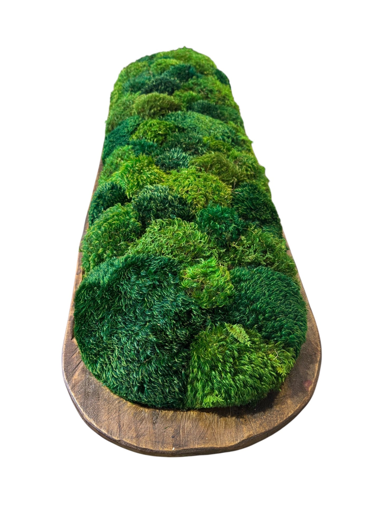 Extremely Grand Dough Moss Bowl 40 x 12 x 6" (XXL)