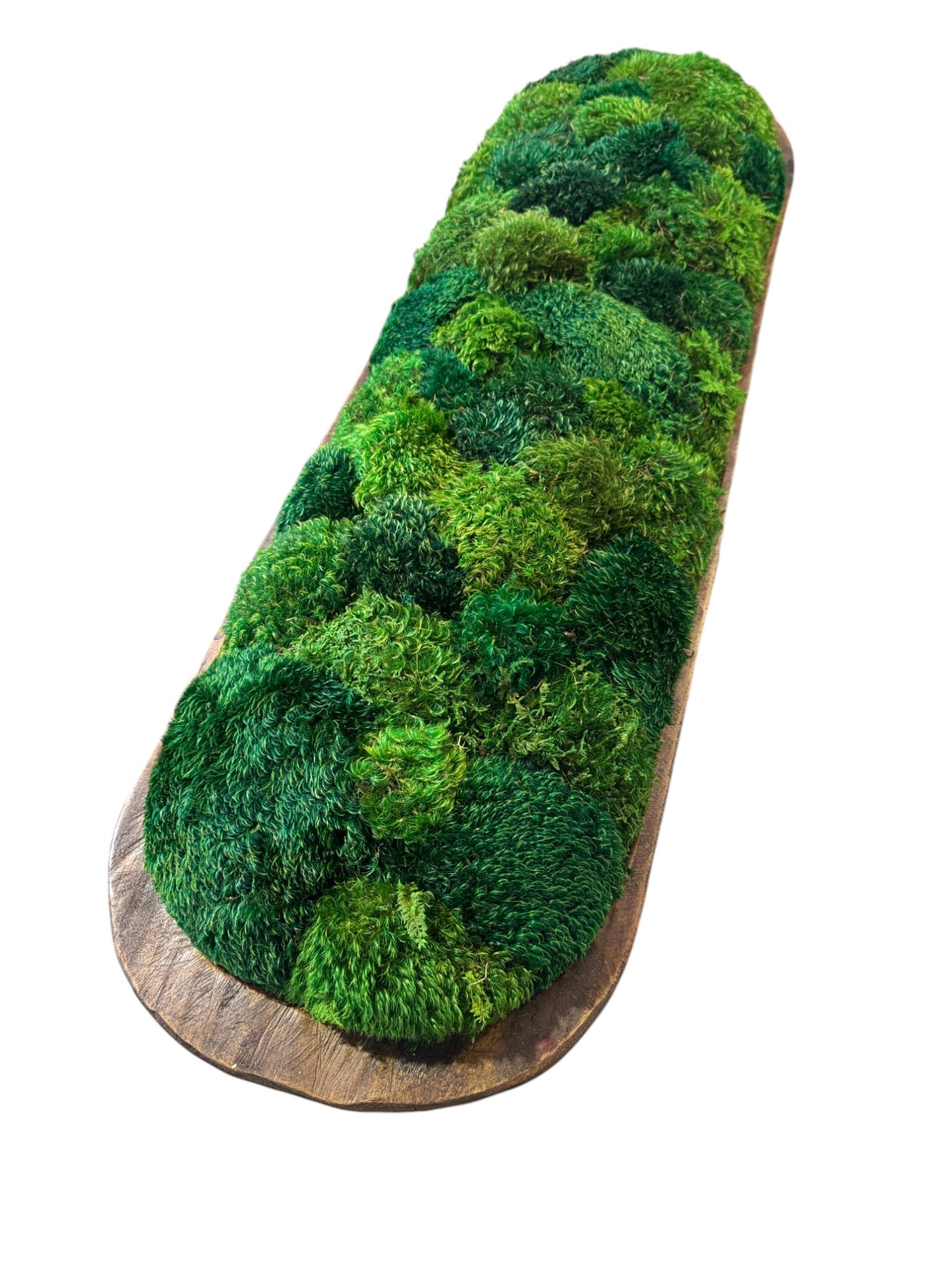 Extremely Grand Dough Moss Bowl 40 x 12 x 6" (XXL)