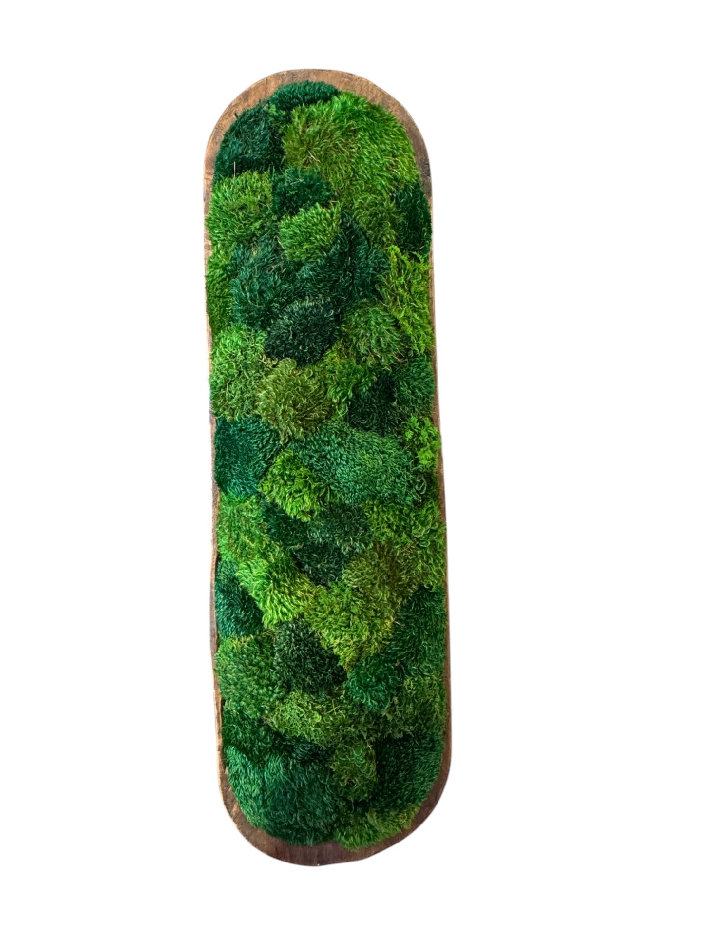 Extremely Grand Dough Moss Bowl 40 x 12 x 6" (XXL)