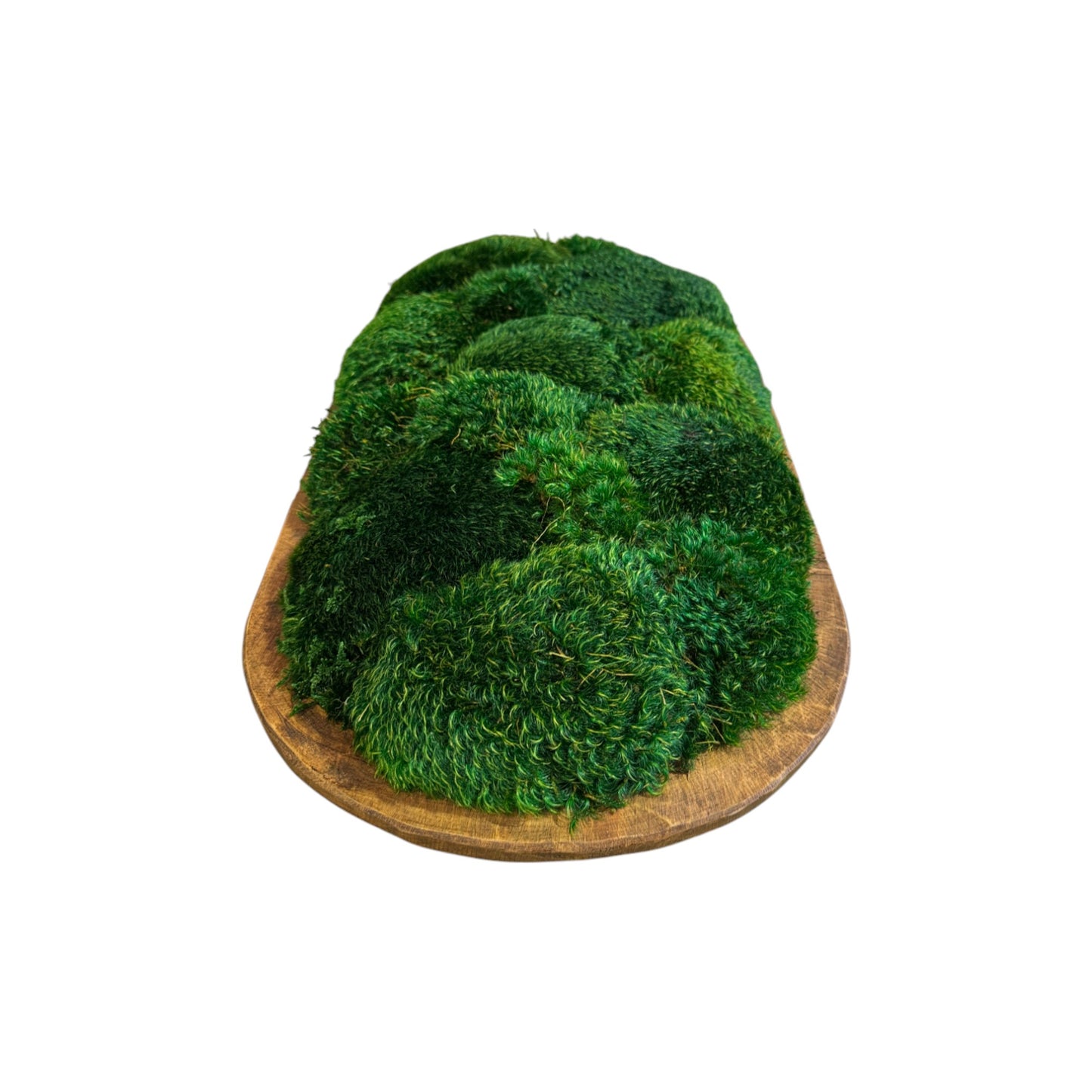 Grand Dough Moss Bowl 20 x 12 x 6" (XL)