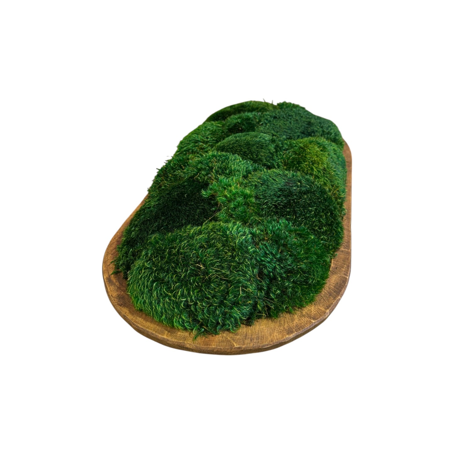 Grand Dough Moss Bowl 20 x 12 x 6" (XL)