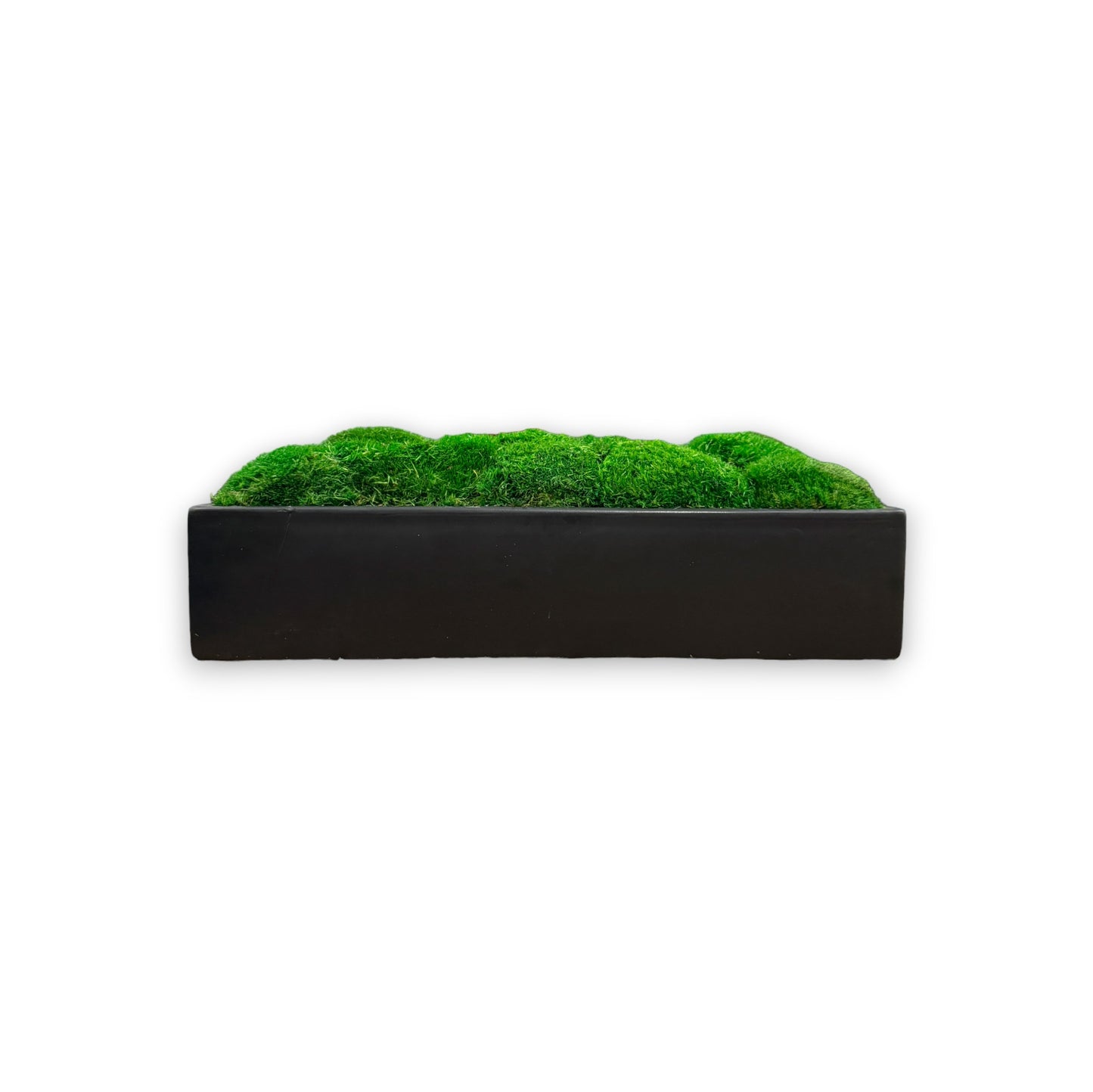 Midnight Moss Wide Topiary Moss Bowl (Medium Green Moss)