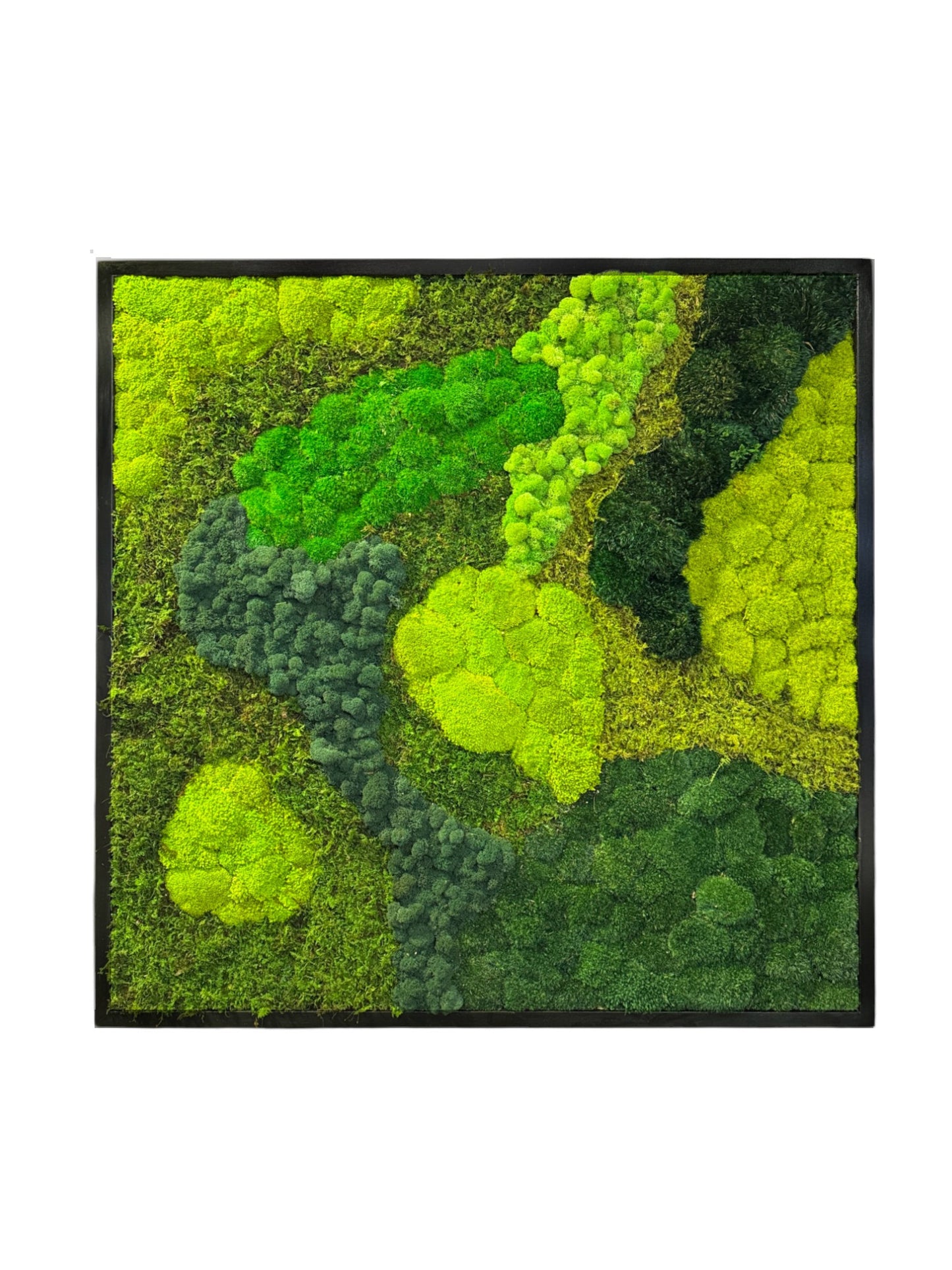 The Contrast Moss Art Frame (Without Leaves)