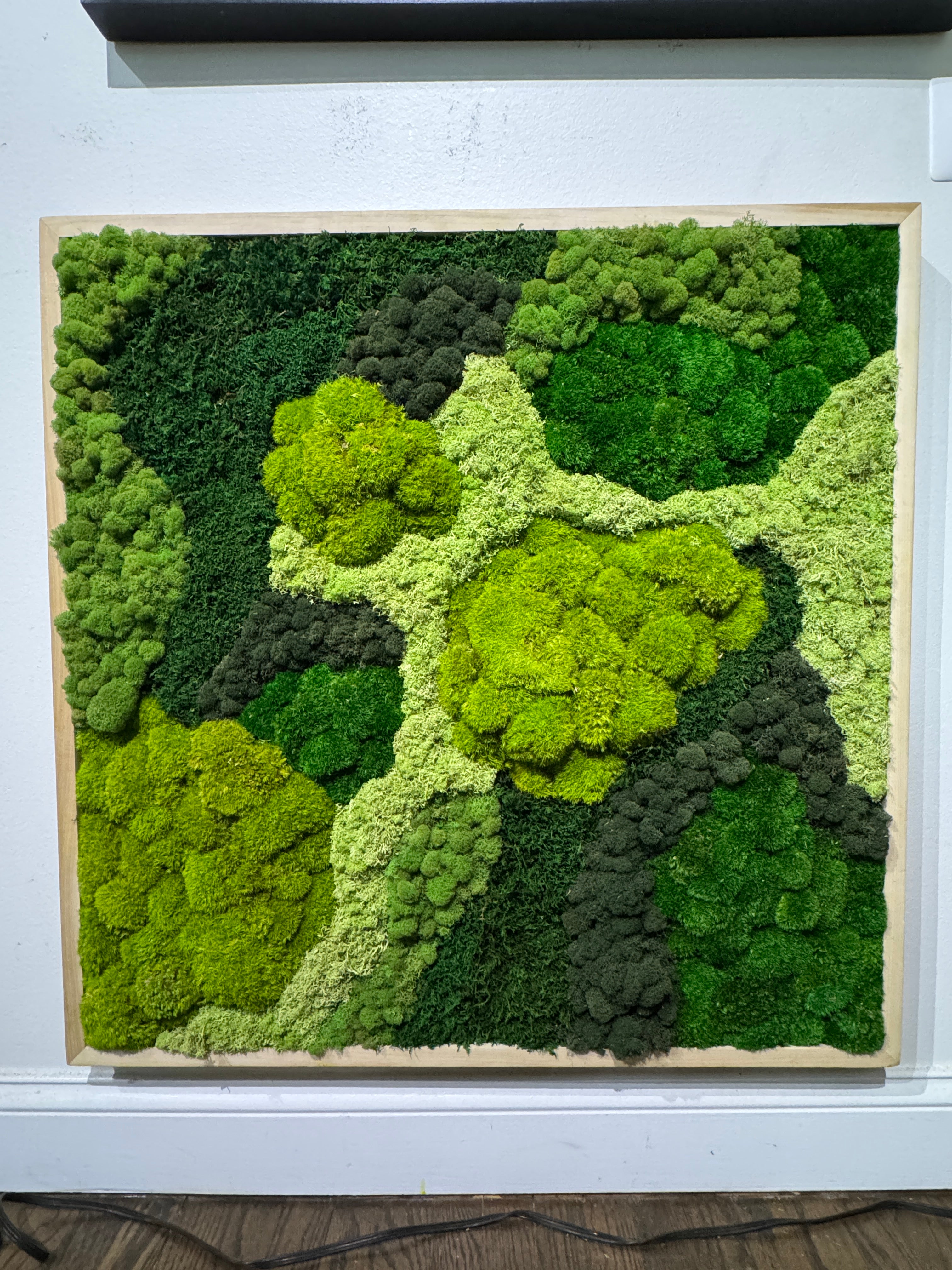 Enchanted Forest Moss Art Frame – The Moss Shop