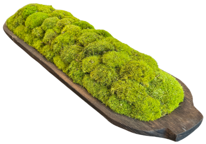 Oval Moss Bread Bowl with Handles (28x8x4")