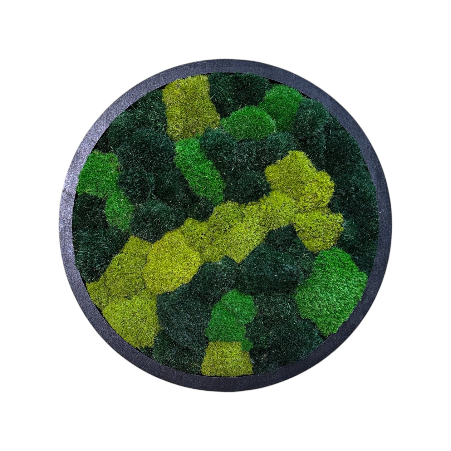 Interstellar Moss Art Circle Frame (One Piece)