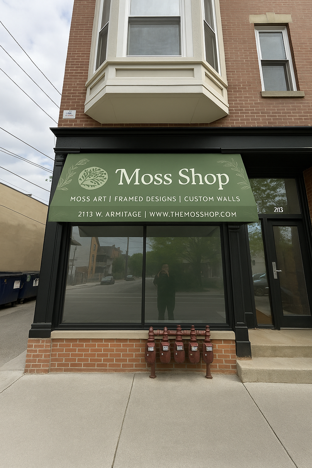 🌿 We’ve Moved! Welcome to Our New Studio in Chicago – The Moss Shop