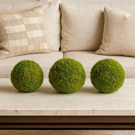 The Modern Appeal of Moss Artwork | The Moss Shop