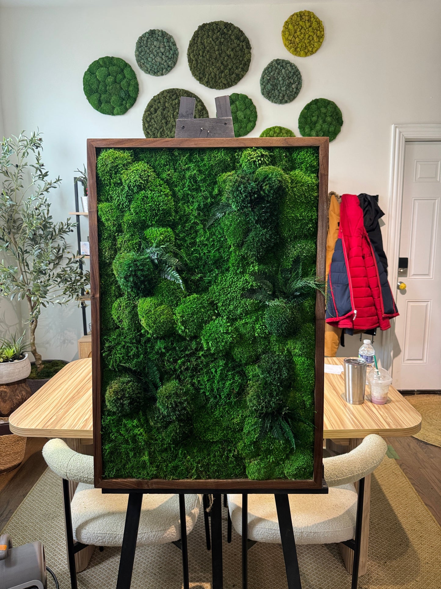 Mood Moss vs Reindeer Moss: What’s the Difference?