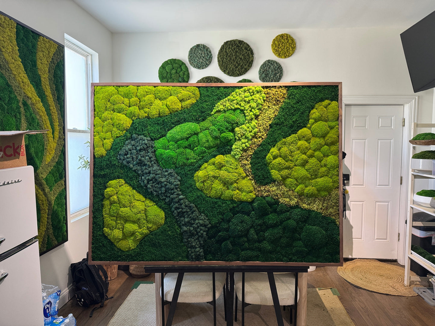 Does Moss Wall Art Need Water or Sunlight?