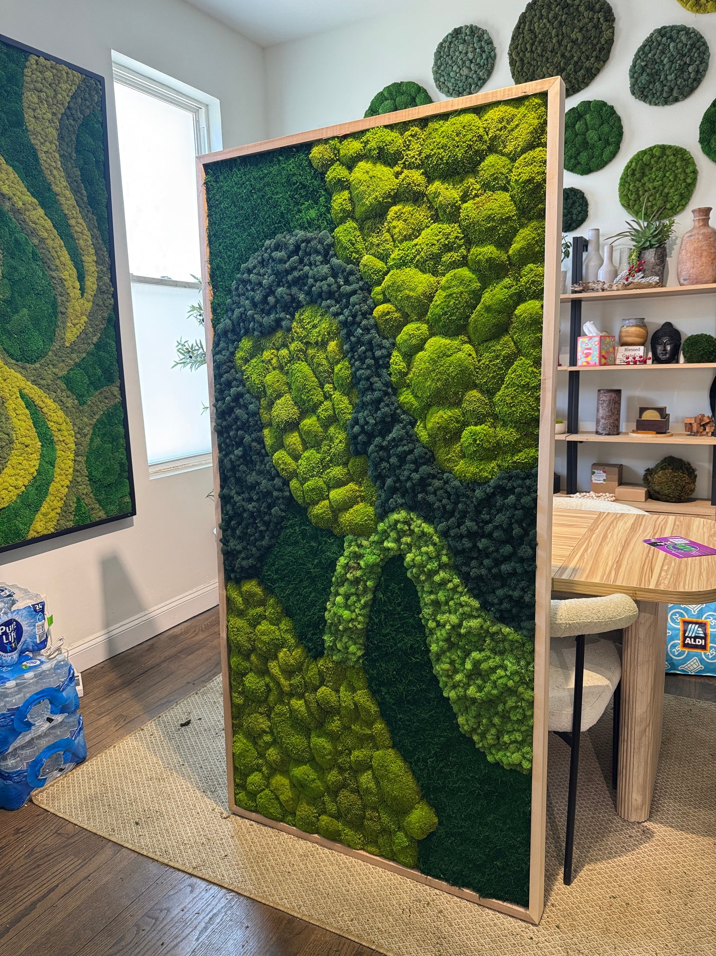 Can Moss Walls Go Outside? Indoor vs Outdoor Guide
